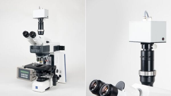 MICROSCOPY-PAM - Para sondar objetos microscópicos até um único cloroplasto